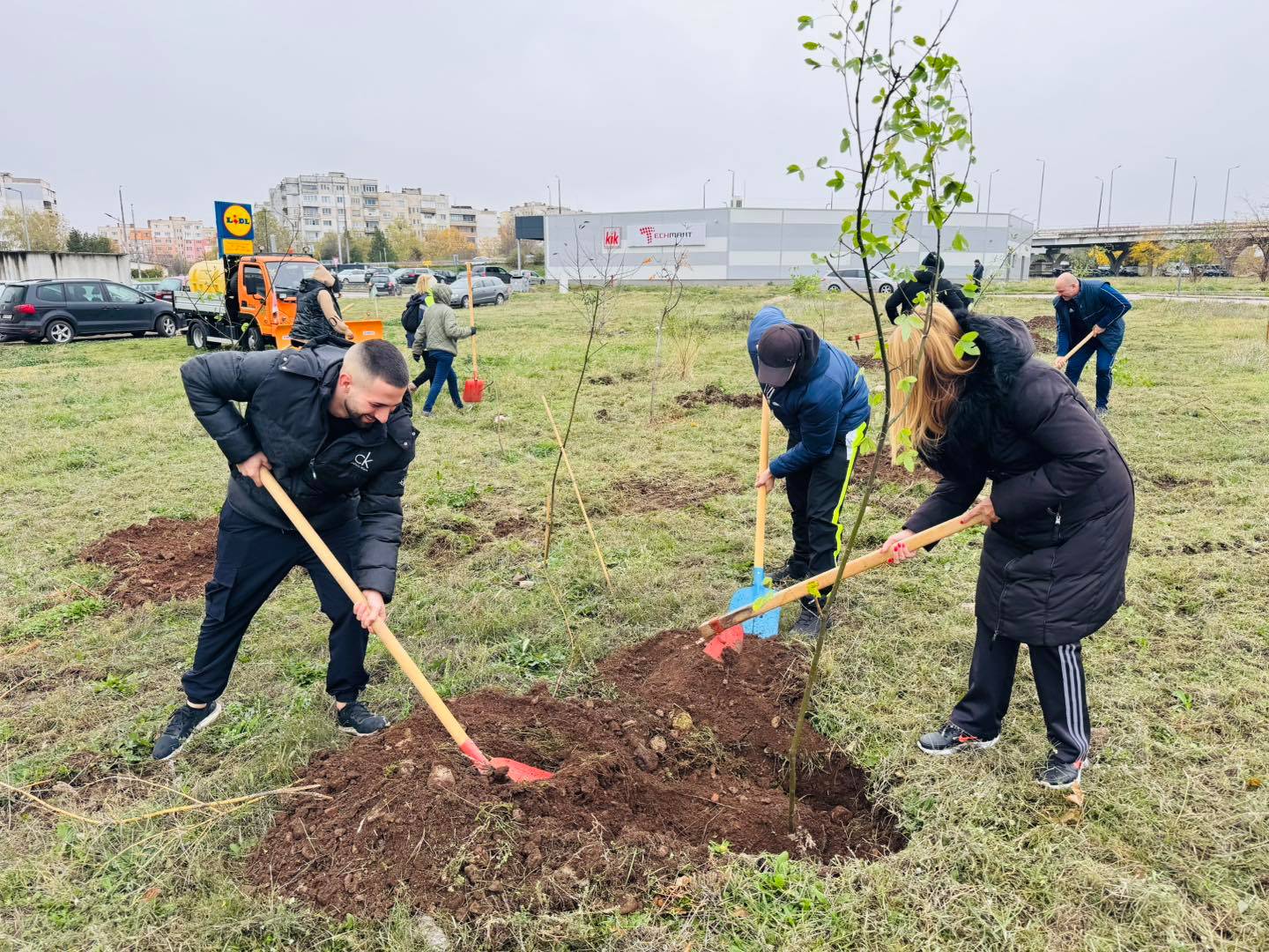Във Враца засадиха 500 нови дървета – за по-зелен и красив град